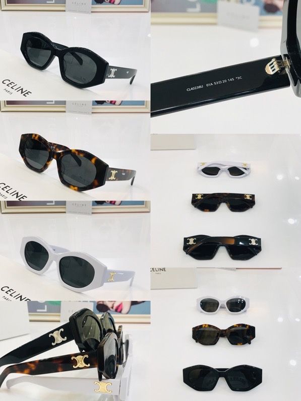 Celine Glasses smx (1313)